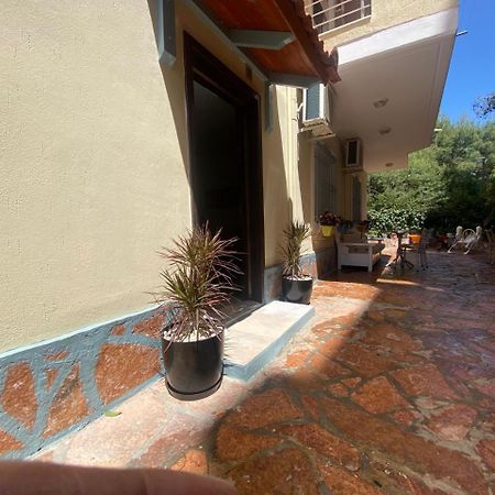 סרנדה Olive Tree Apartment מראה חיצוני תמונה