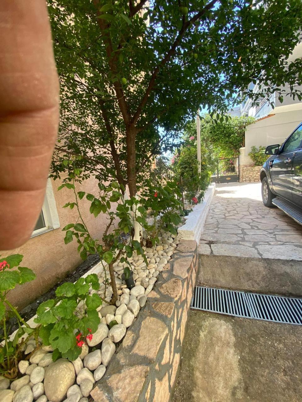 סרנדה Olive Tree Apartment מראה חיצוני תמונה